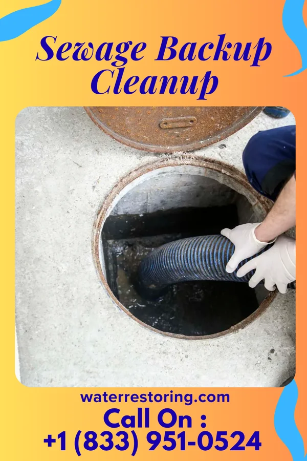 Sewage Backup Cleanup in Ansonia, OH