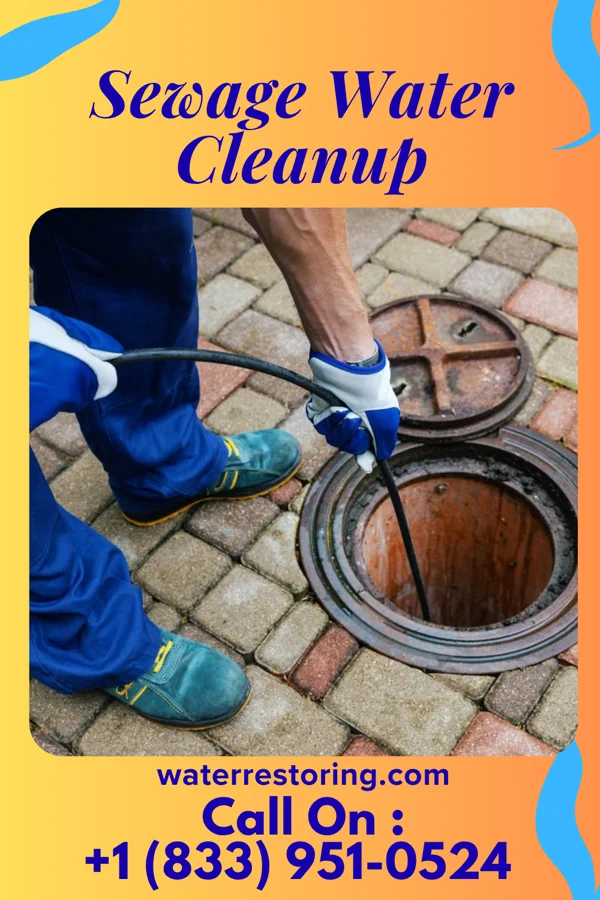 Sewage Water Cleanup in Ansonia, OH