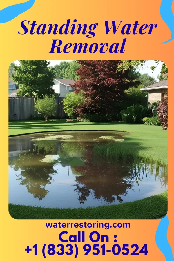 Standing Water Removal in Ansonia, OH